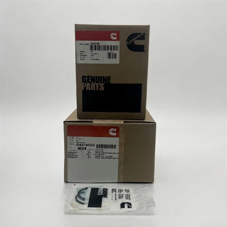 5.9 6.7 Cummins Pistons Kit G4376652 suppliers
